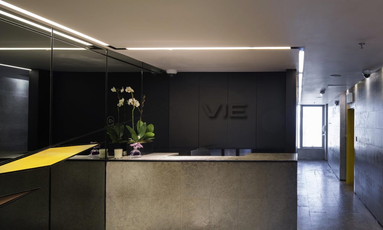 VIE Company Logo
